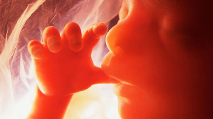 The-Miracle-of-Life-Breathtaking-Video-Shows-9-Months-of-a-Baby’s-Life-in-the-Womb-00.jpg